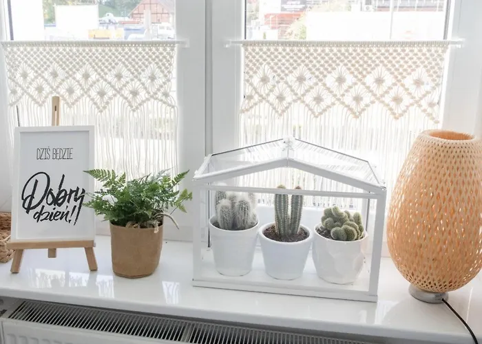 Apartament Alternatywny